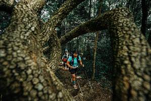 BIB: 
                            <button type="button" onclick="openModal(25703857)" class="btn btn-primary btn-sm float-right btn-popup" data-toggle="modal" data-target=".modal-high-quality">
                        <i class="fas fa-shopping-cart"></i> Add to Cart
                    </button>
                                            <button type="button" onclick="isThisMe(25703857, true)" class="btn btn-success btn-sm float-right btn-popup btn-isme hidden" data-toggle="tooltip" data-placement="bottom" title="นี่คือรูปของคุณใช่ไหม คลิกที่นี่เพื่อเอาเข้าอัลบั้ม">
                        <i class="fas fa-plus"></i> Add to album
                    </button>
                    <button type="button" onclick="isThisMe(25703857, false)" class="btn btn-warning btn-sm float-right btn-popup btn-isnotme hidden">
                        <i class="fas fa-ban"></i> Remove from album
                    </button>